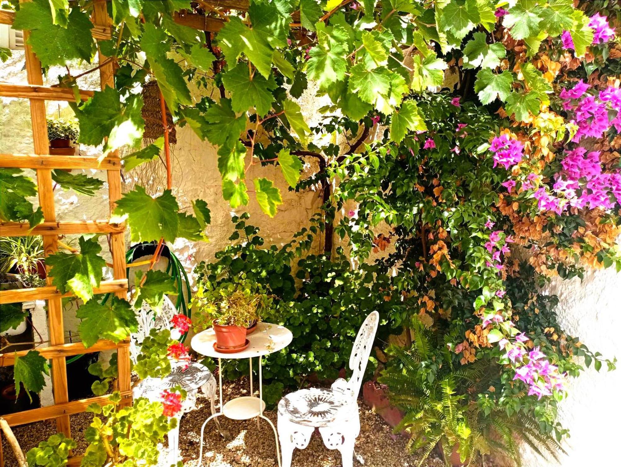 Casa Shyshka Country Cottage Periana エクステリア 写真