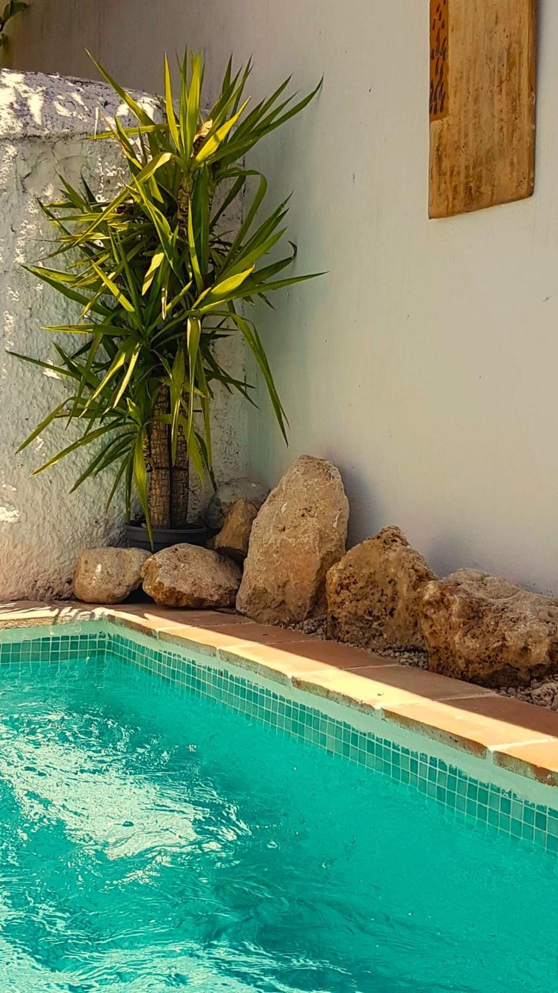 Casa Shyshka Country Cottage Periana エクステリア 写真